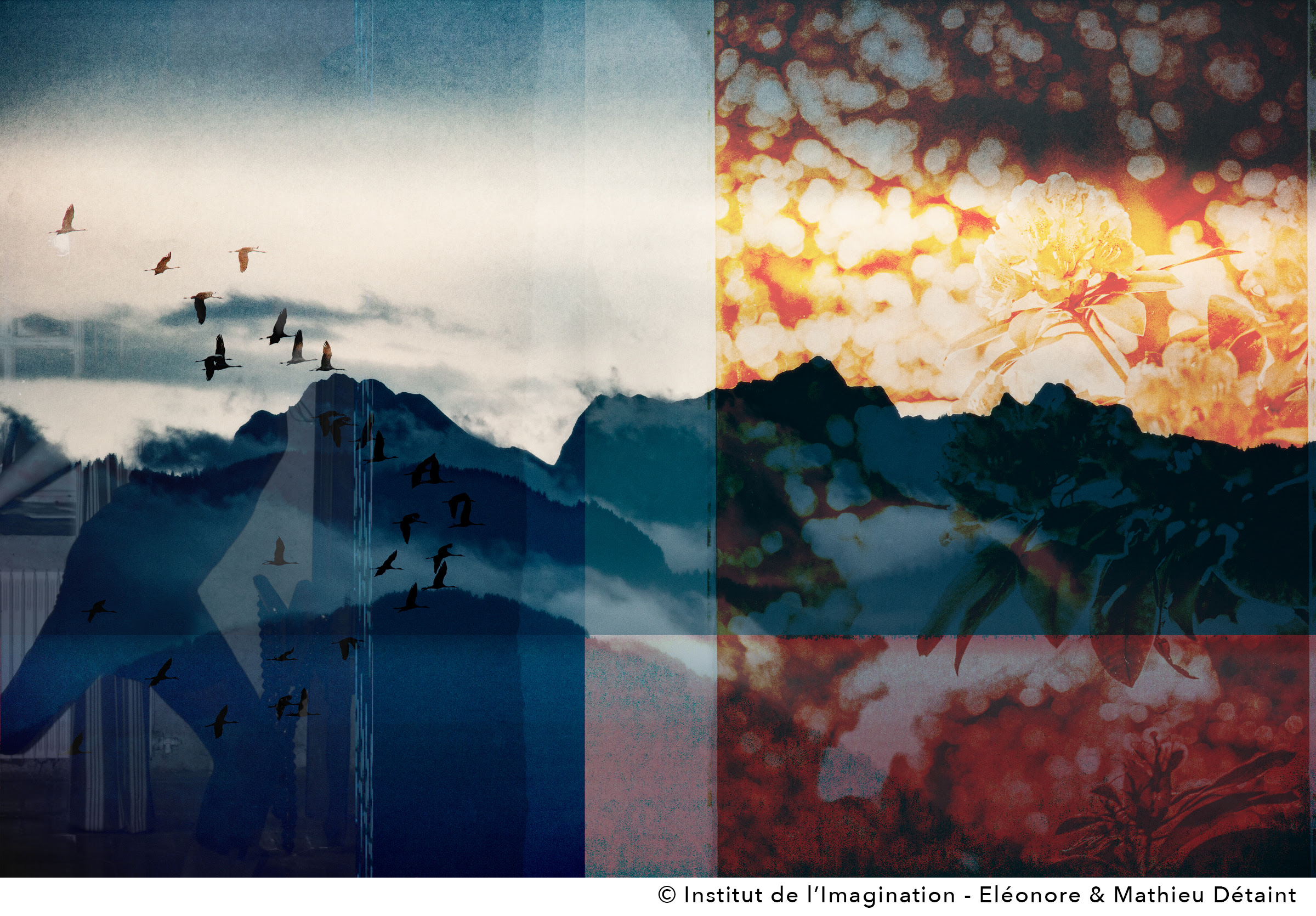 Des éléments naturels : fleurs, montagne, oiseaux, représentés en superposition. Visuel du second numéro de la newsletter Sous la Surface.